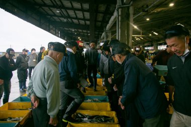 Ito, Japonya; 1 Ekim 2023: Japonya 'nın Shizuoka ilindeki Ito limanında balık açık artırması ve balıkçılar.
