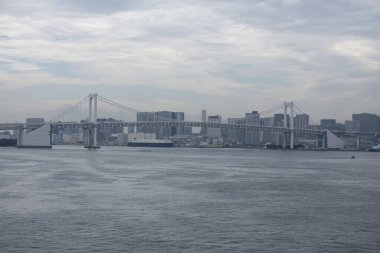 Tokyo, Japonya; 1 Ekim 2023: Tokyo 'daki Toyosu balık pazarı yakınlarındaki modern binalar.