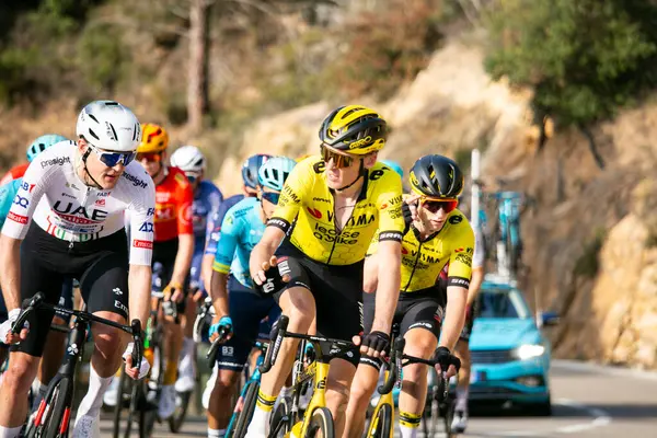 Girona, İspanya; 18 Mart 2024: Robert GESINK (NED) (Visma Kiralama a Bike Takımı) La Volta Katalunya 2024.