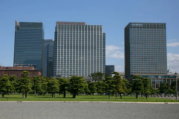 Puutarha Puut Japanin Keisarillisen Palatsin Ulkopuolella Tokiossa — kuvapankkivalokuva