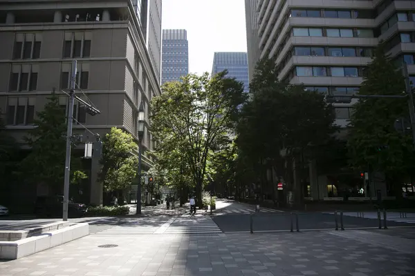 Have Træer Uden Det Japanske Kejserpalads Tokyo - Stock-foto