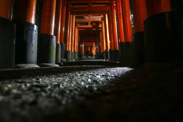 Vista Nocturna Del Fushimi Inari Taisha Główne Sanktuarium Sintosta Poświęcone — Zdjęcie stockowe