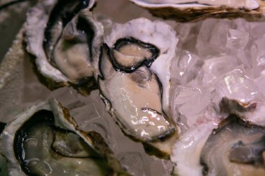 Japonya 'nın Kyoto kentindeki Nishiki balık pazarında taze istiridye...