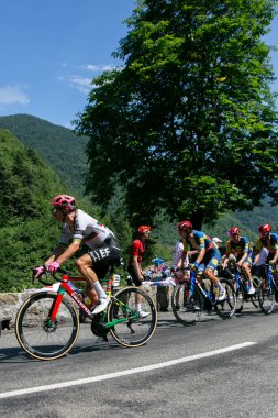 Moulinet, Fransa; 20 Temmuz 2024: Profesyonel bisikletçi RUI COSTA EF EDUCATION - EASYPOSTUSA Fransa Bisiklet Turu 2024 'te bir dağ safhasında