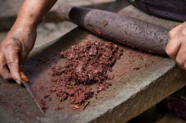 Oaxaca Meksika 'da organik çikolata üreten bir kadın, gıda ürünlerini öğütmek için eski bir taş alet..