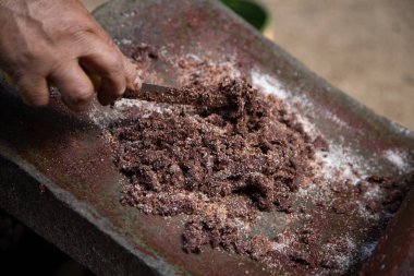 Oaxaca Meksika 'da organik çikolata üreten bir kadın, gıda ürünlerini öğütmek için eski bir taş alet..