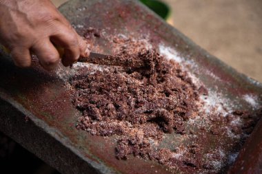 A woman in Oaxaca Mexico manually producing organic chocolate on a metate, an ancient stone tool for grinding food products. clipart