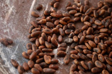 Oaxaca Meksika 'da bir kadın odun sobasında kakao çekirdeği pişiriyor..
