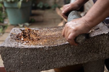 Oaxaca 'daki yerli bir toplumdan bir kadın, Meksika' daki malzemeleri öğütmek için kullanılan bir aletle geleneksel siyah köstebeği hazırlıyor..