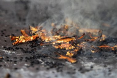 Oaxaca 'dan yerel acı biber tohumları. Tohumlar, otantik Meksika siyah benini hazırlamak için ateşte kızartılıyor..