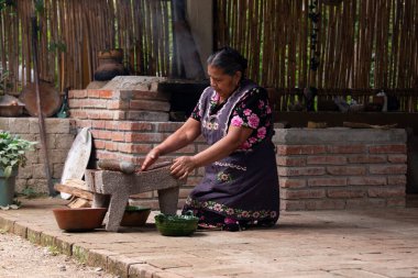 Teotitlan del valle, Oaxaca, Meksika 1 Kasım 2024: Geleneksel bir Oaxacan aşçısı bir metate üzerinde siyah köstebek hazırlıyor. 