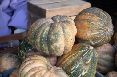 Oaxaca, Meksika 'daki Central Abastos pazarında taze balkabağı tezgahı..