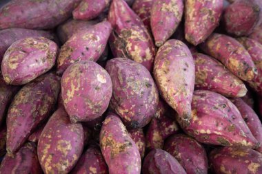 Oaxaca, Meksika 'daki Central Abastos pazarında taze mor patates..