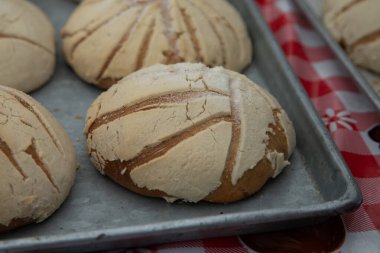 Pan de concha. Meksika tatlı ekmeği Oaxaca 'da bir sokak yemeği standında.