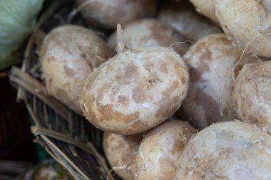 Jimacas in the market of Oaxaca. The jicama, pelenga or Mexican turnip is a leguminous plant native to Mexico clipart