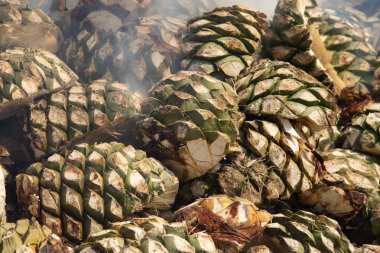 Oaxaca 'nın orta vadisinde mezcal üretimi için geleneksel yemek pişirme biçimi..