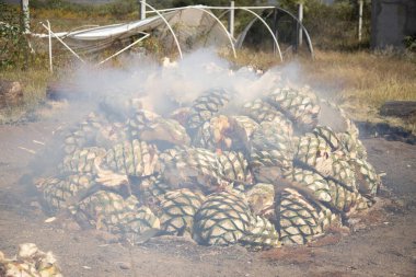 Oaxaca 'nın orta vadisinde mezcal üretimi için geleneksel yemek pişirme biçimi..