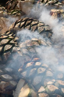 Oaxaca 'nın orta vadisinde mezcal üretimi için geleneksel yemek pişirme biçimi..
