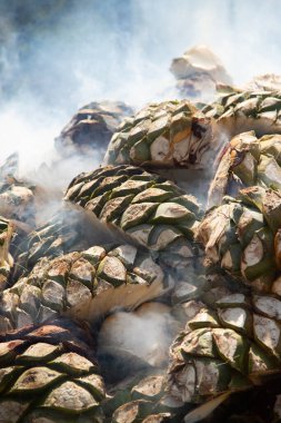 Traditional form of cooking maguey agave for the production of mezcal in the central valley of Oaxaca. clipart