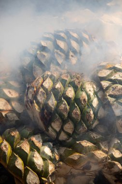 Oaxaca 'nın orta vadisinde mezcal üretimi için geleneksel yemek pişirme biçimi..
