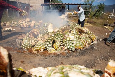 Oaxaca, Meksika 1 Ocak 2025: Orta Oaxaca vadisinde Mezcal üretimi için geleneksel maguey agave pişirme süreci.