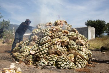 Oaxaca, Meksika 1 Ocak 2025: Orta Oaxaca vadisinde Mezcal üretimi için geleneksel maguey agave pişirme süreci.