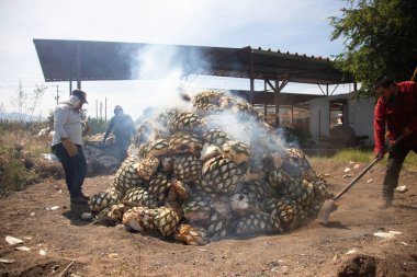 Oaxaca, Meksika 1 Ocak 2025: Orta Oaxaca vadisinde Mezcal üretimi için geleneksel maguey agave pişirme süreci.