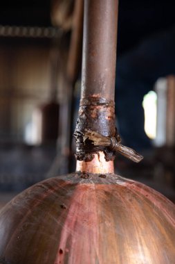 Mezcal Meksika 'nın Oaxaca bölgesindeki el sanatları palenklerinde mayalanmış ve damıtılmıştır..