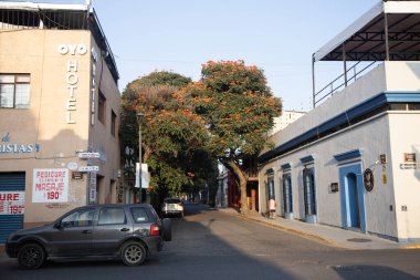 Oaxaca, Meksika; 1 Ocak 2025: Oaxaca City sokaklarında renkli ve güzel konutlar ve iş binaları.