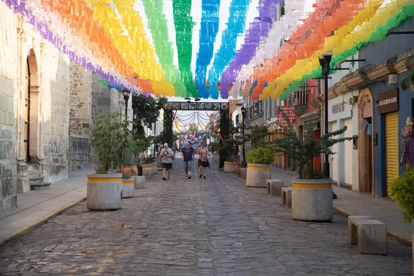 Oaxaca, Meksika; 1 Ocak 2025: Oaxaca City sokaklarında renkli ve güzel konutlar ve iş binaları.