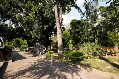 Oaxaca, Meksika; 1 Ocak 2025: Oaxaca kentindeki Juarez el LLano Parkı.