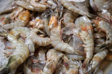 Oaxaca, Meksika 'daki merkez markette otantik taze karides..