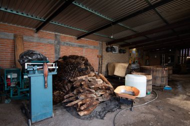 Oaxaca, Meksika; 1 Kasım 2024: Palenques Oaxaca Vadisi 'nde sanatsal mezcal üretmeye odaklı küçük üretim fabrikaları.