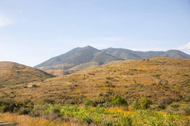 Meksika 'daki Oaxaca Vadisi' ndeki dağlar ve tarlalar.
