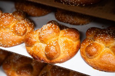 Oaxaca bölgesinde Ölüler Günü için geleneksel Meksika ekmeği.