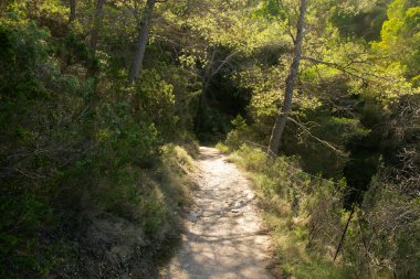 İbiza adasındaki Es Portitxol 'un güzel vahşi plajına giden doğa yolu.