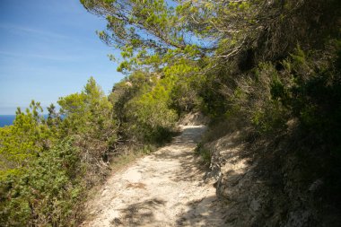 İbiza adasındaki Es Portitxol 'un güzel vahşi plajına giden doğa yolu.