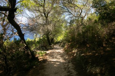 İbiza adasındaki Es Portitxol 'un güzel vahşi plajına giden doğa yolu.