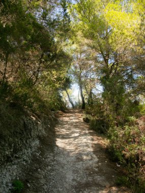 İbiza adasındaki Es Portitxol 'un güzel vahşi plajına giden doğa yolu.
