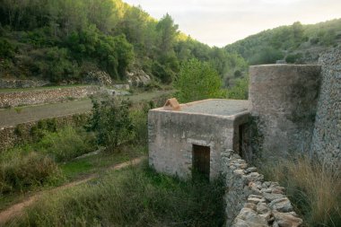 Es Broll İbiza İspanya 'da bir artezyen kuyusu pınardan çıkan suyu kullanarak vadi boyunca karmaşık sulama kanalları yoluyla dağıtıyor..