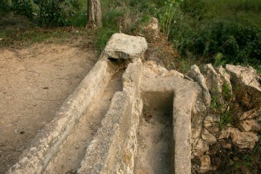 Es Broll İbiza İspanya 'da bir artezyen kuyusu pınardan çıkan suyu kullanarak vadi boyunca karmaşık sulama kanalları yoluyla dağıtıyor..