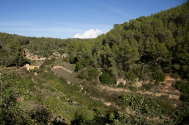 Es Broll İbiza İspanya 'da bir artezyen kuyusu pınardan çıkan suyu kullanarak vadi boyunca karmaşık sulama kanalları yoluyla dağıtıyor..