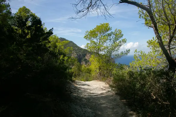 İbiza adasındaki Es Portitxol 'un güzel vahşi plajına giden doğa yolu.