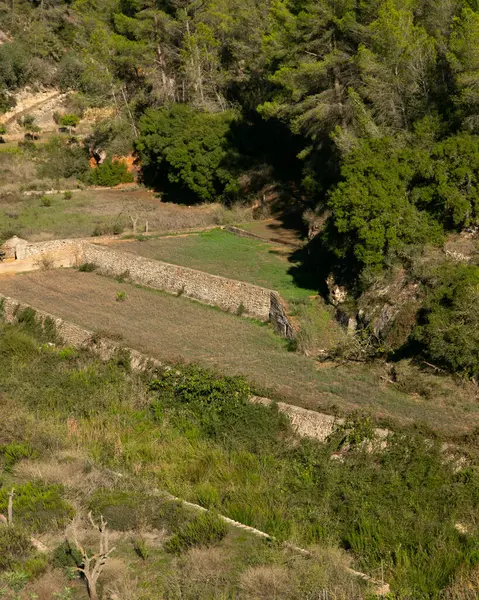 Es Broll İbiza İspanya 'da bir artezyen kuyusu pınardan çıkan suyu kullanarak vadi boyunca karmaşık sulama kanalları yoluyla dağıtıyor..
