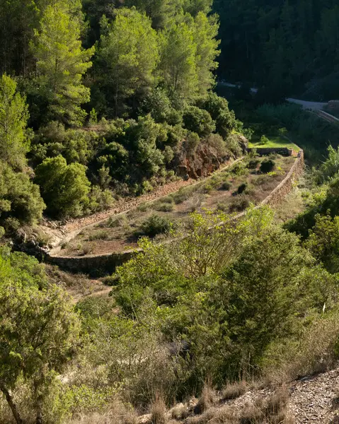 Es Broll İbiza İspanya 'da bir artezyen kuyusu pınardan çıkan suyu kullanarak vadi boyunca karmaşık sulama kanalları yoluyla dağıtıyor..