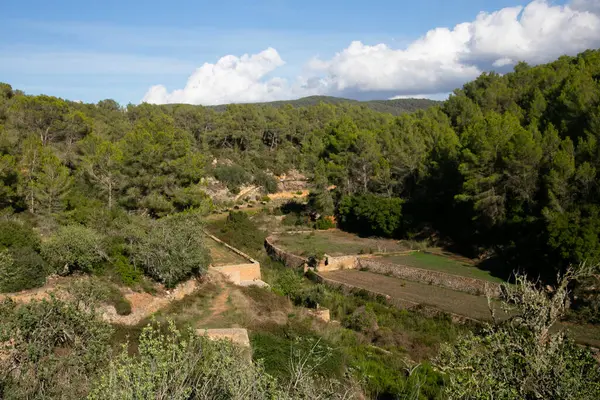 Es Broll İbiza İspanya 'da bir artezyen kuyusu pınardan çıkan suyu kullanarak vadi boyunca karmaşık sulama kanalları yoluyla dağıtıyor..