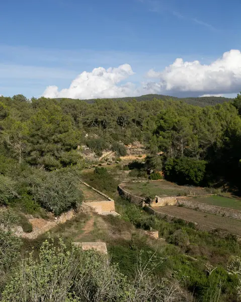 Es Broll İbiza İspanya 'da bir artezyen kuyusu pınardan çıkan suyu kullanarak vadi boyunca karmaşık sulama kanalları yoluyla dağıtıyor..
