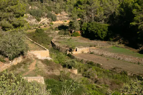 Es Broll İbiza İspanya 'da bir artezyen kuyusu pınardan çıkan suyu kullanarak vadi boyunca karmaşık sulama kanalları yoluyla dağıtıyor..