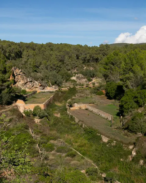 Es Broll İbiza İspanya 'da bir artezyen kuyusu pınardan çıkan suyu kullanarak vadi boyunca karmaşık sulama kanalları yoluyla dağıtıyor..