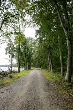 Güney Danimarka 'nın ormanları ve manzaraları boyunca kırsal döngü yolu
